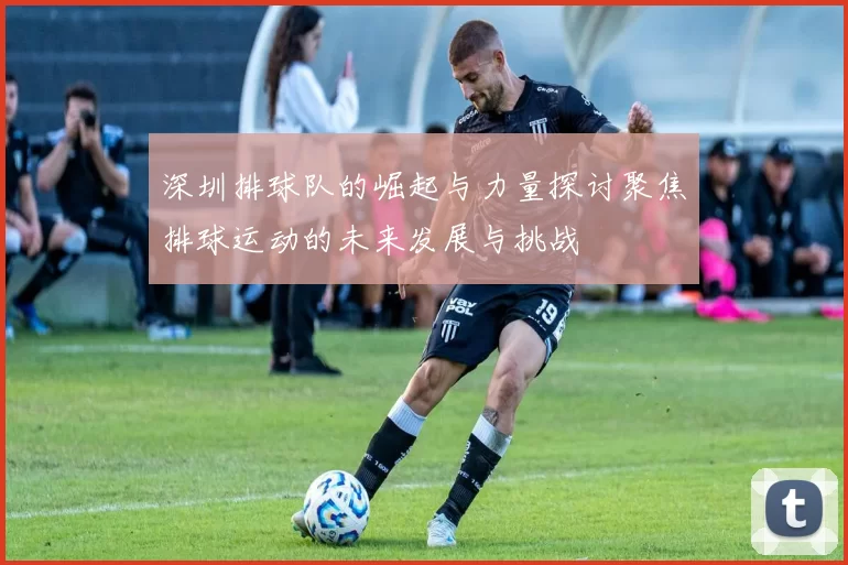 深圳排球队的崛起与力量探讨聚焦排球运动的未来发展与挑战