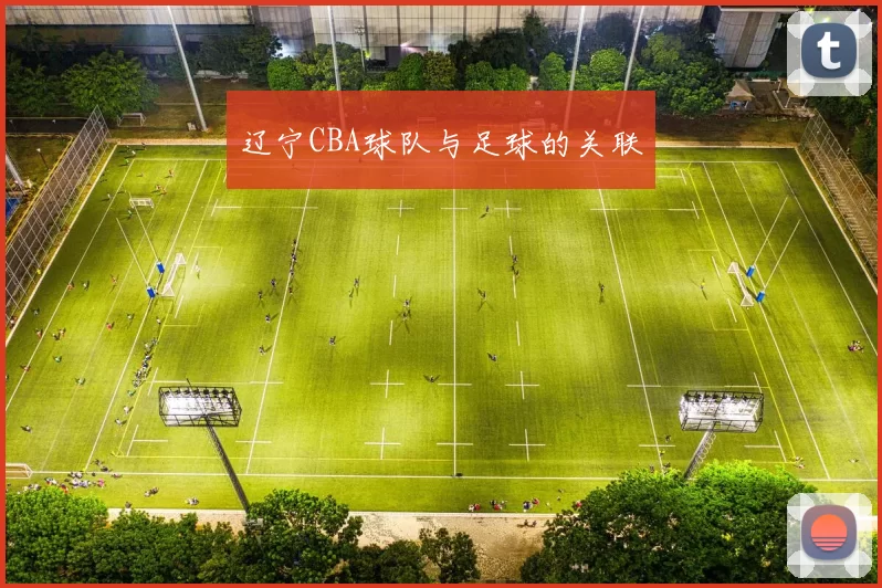 辽宁CBA球队与足球的关联