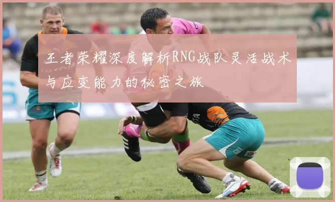 王者荣耀深度解析RNG战队灵活战术与应变能力的秘密之旅