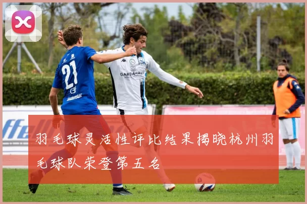 羽毛球灵活性评比结果揭晓杭州羽毛球队荣登第五名