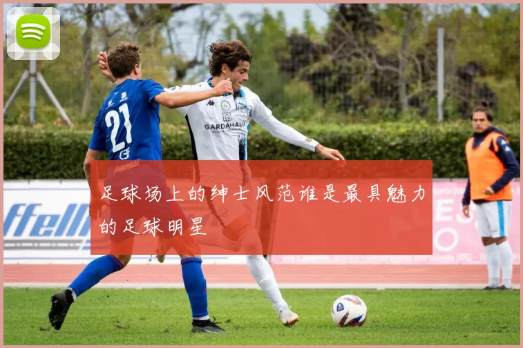 足球场上的绅士风范谁是最具魅力的足球明星