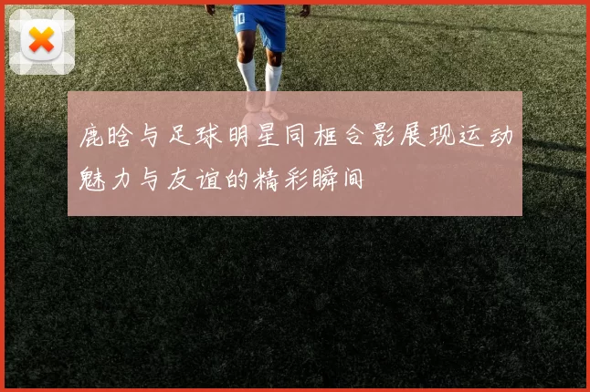 鹿晗与足球明星同框合影展现运动魅力与友谊的精彩瞬间