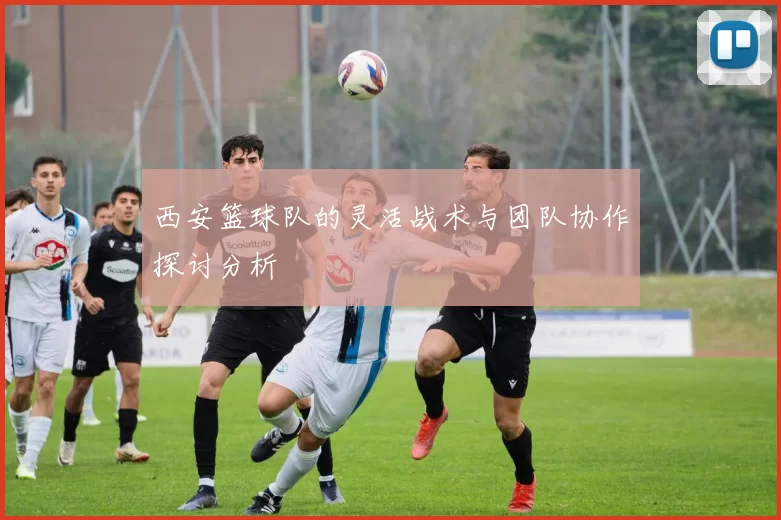西安篮球队的灵活战术与团队协作探讨分析