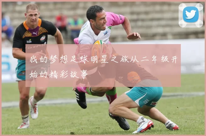 我的梦想足球明星之旅从二年级开始的精彩故事