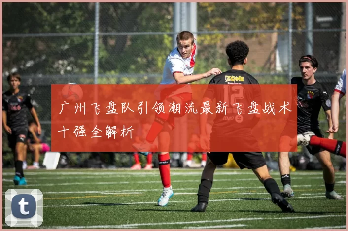广州飞盘队引领潮流最新飞盘战术十强全解析