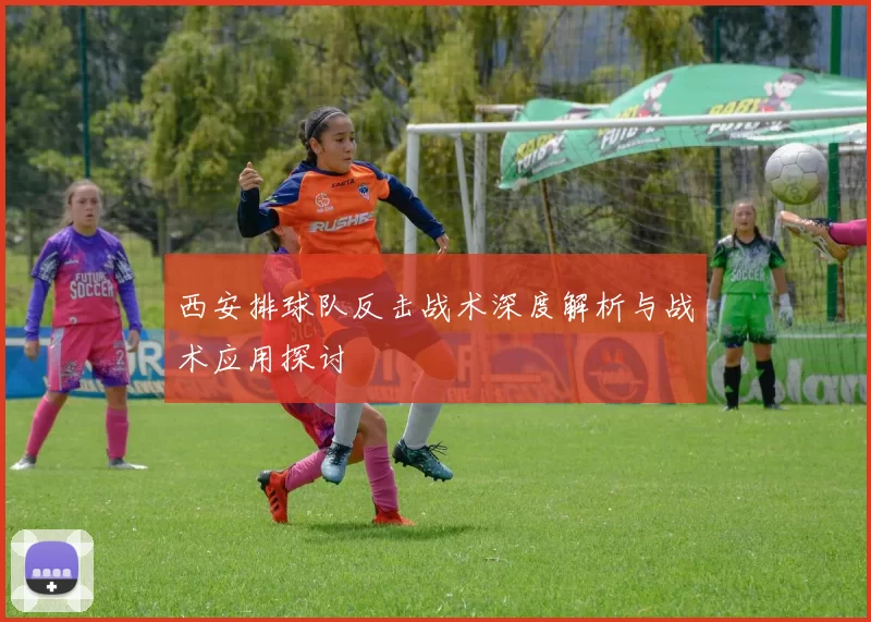 西安排球队反击战术深度解析与战术应用探讨