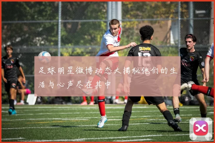 足球明星微博动态大揭秘他们的生活与心声尽在其中