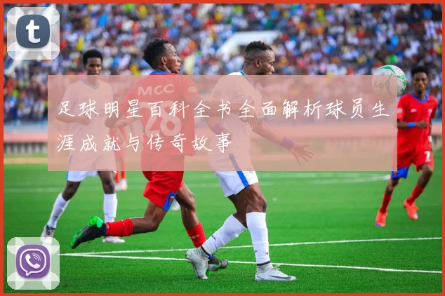 足球明星百科全书全面解析球员生涯成就与传奇故事
