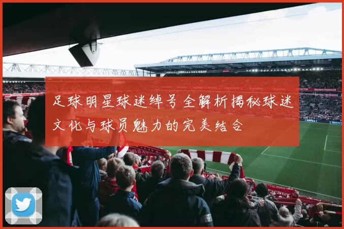 足球明星球迷绰号全解析揭秘球迷文化与球员魅力的完美结合