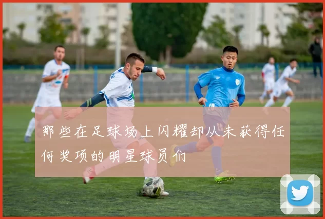 那些在足球场上闪耀却从未获得任何奖项的明星球员们