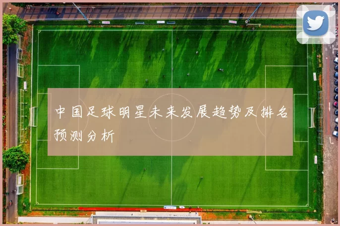 中国足球明星未来发展趋势及排名预测分析
