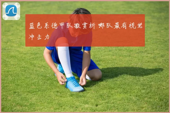 蓝色系德甲队徽赏析 哪队最有视觉冲击力
