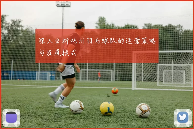 深入分析杭州羽毛球队的运营策略与发展模式