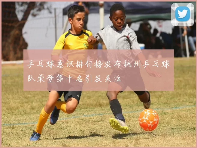 乒乓球意识排行榜发布杭州乒乓球队荣登第十名引发关注