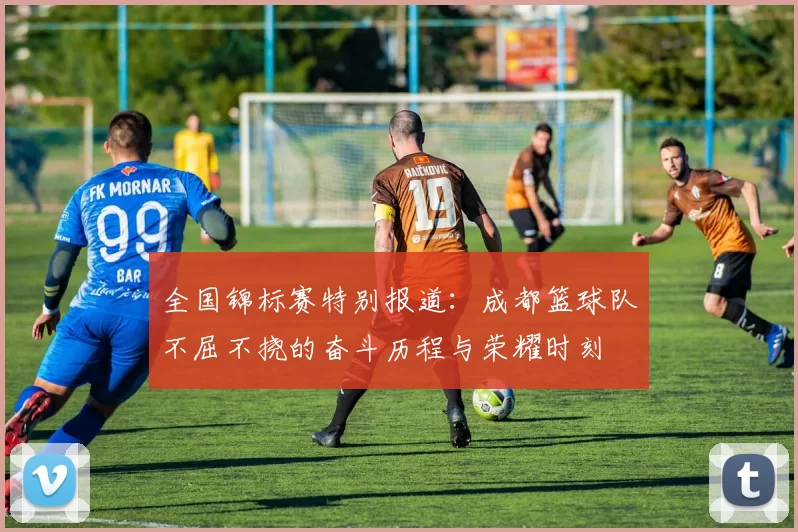 全国锦标赛特别报道：成都篮球队不屈不挠的奋斗历程与荣耀时刻