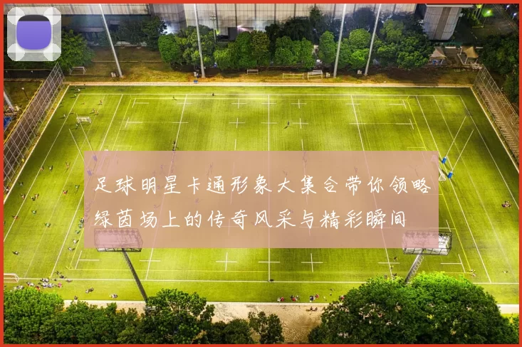 足球明星卡通形象大集合带你领略绿茵场上的传奇风采与精彩瞬间