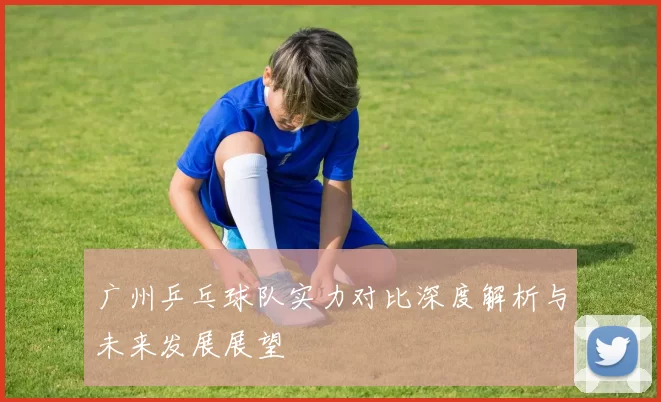 广州乒乓球队实力对比深度解析与未来发展展望
