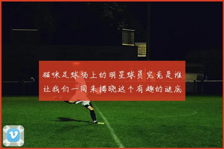 猫咪足球场上的明星球员究竟是谁让我们一同来揭晓这个有趣的谜底
