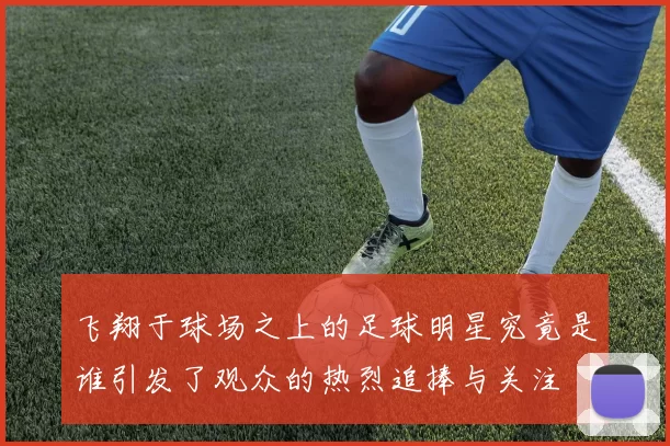 飞翔于球场之上的足球明星究竟是谁引发了观众的热烈追捧与关注