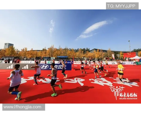 杭州城市马拉松精彩点评飞盘队实力展现与赛事回顾